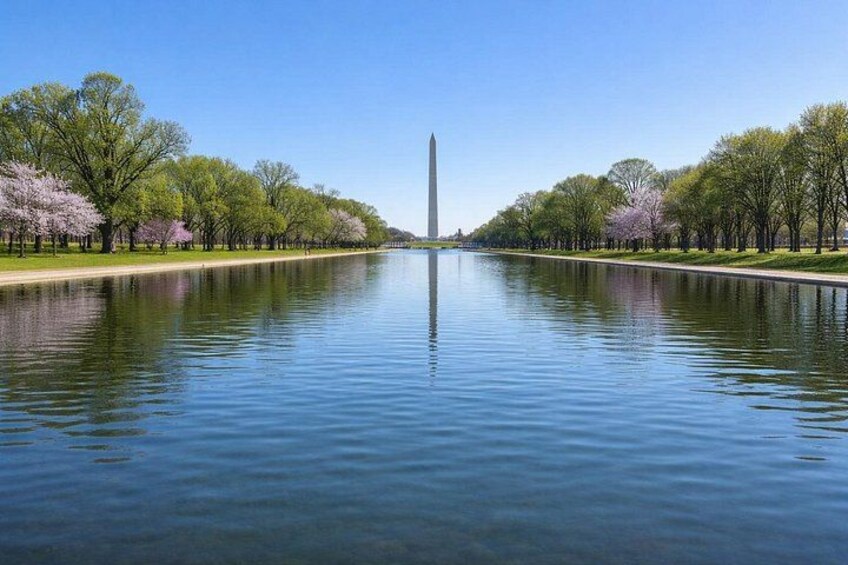 Discover Washington DC on a Day Trip from Manhattan or New Jersey 2