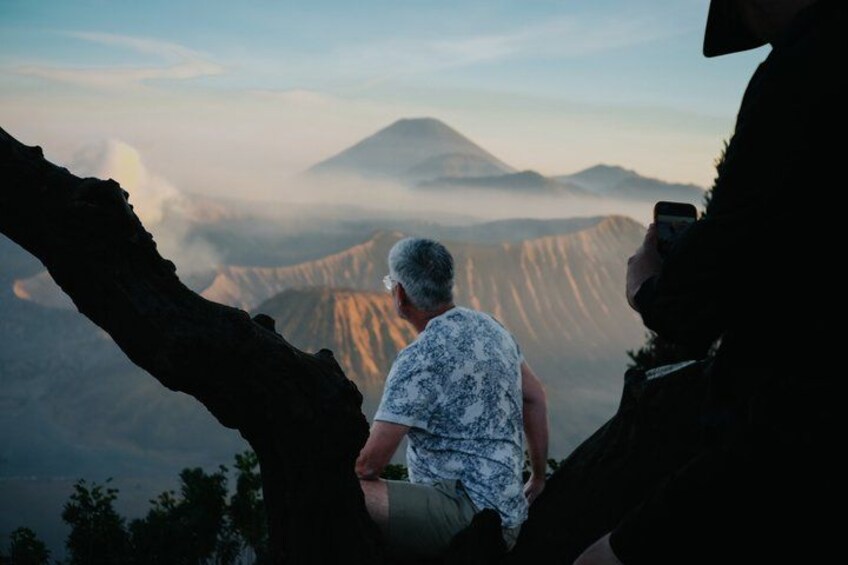 A person sitting on a tree branch overlooking a mountainous landscape with a volcano in the distance. 2