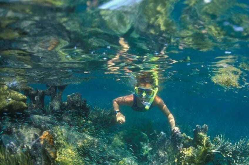 Nha Trang Island Adventure: Snorkeling, BBQ Lunch and Relaxing Mud Bath 4