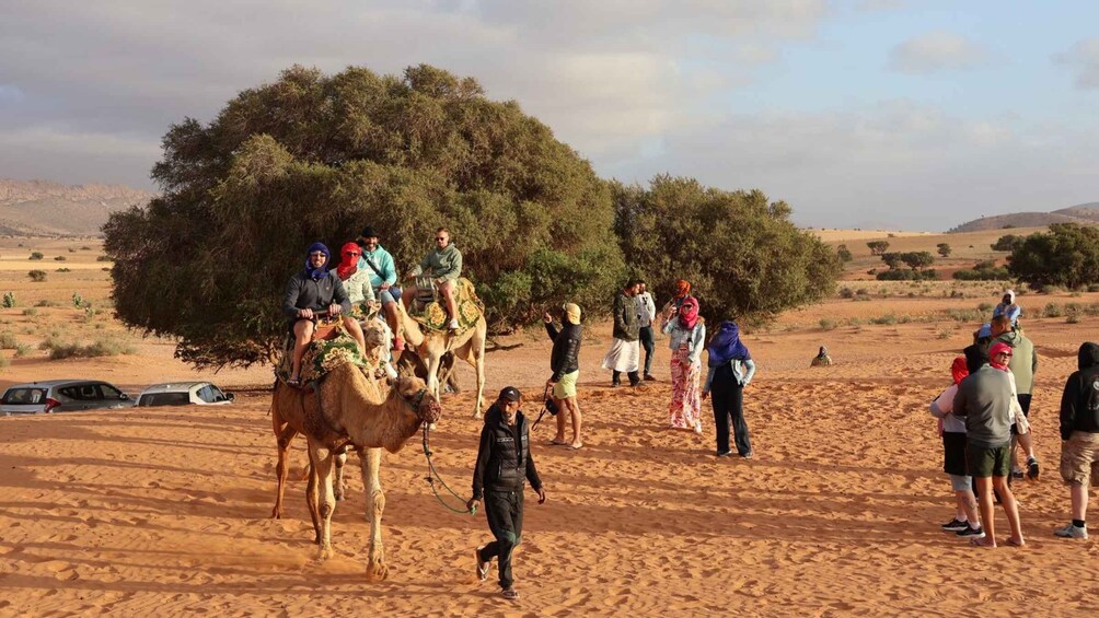 Picture 72 for Activity Agadir: 4x4 Safari, Mini Sahara Dunes & Berber Lunch 2