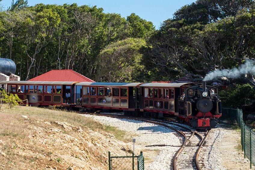 A steam train with open passenger cars traveling on tracks, surrounded by trees and a red-roofed building. 4
