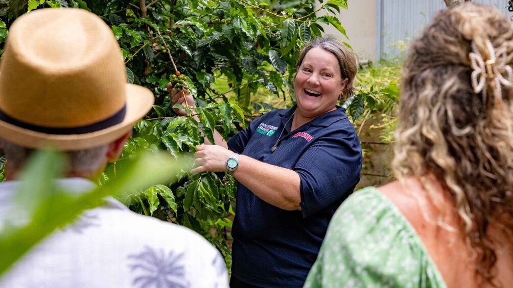 Picture 3 for Activity Gold Coast: Tamborine Mountain Premium Food & Wine Tour 2