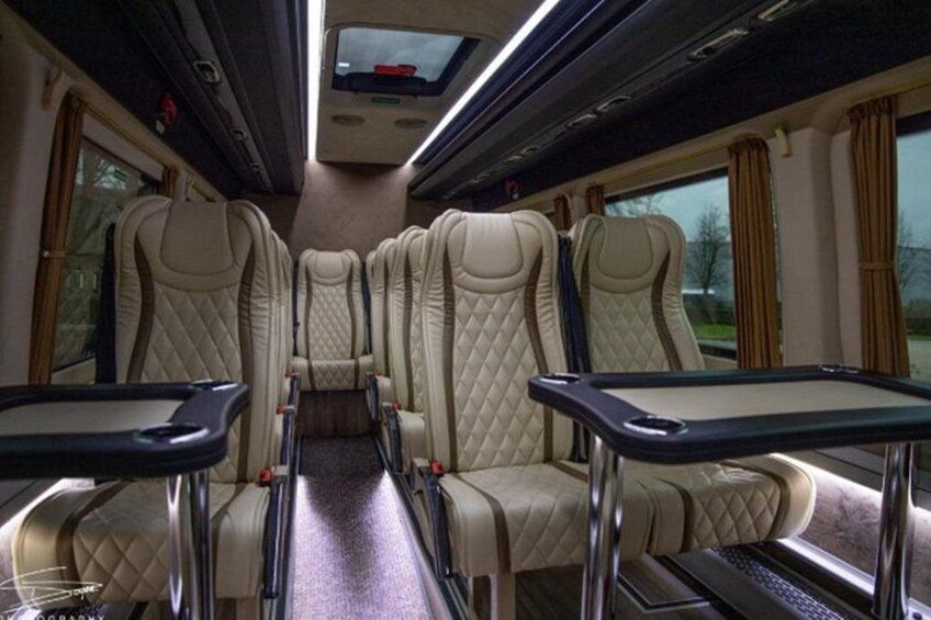 Mini VIP bus 4