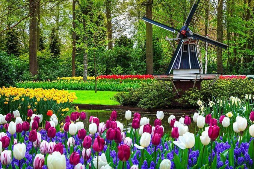 Keukenhof motive 1