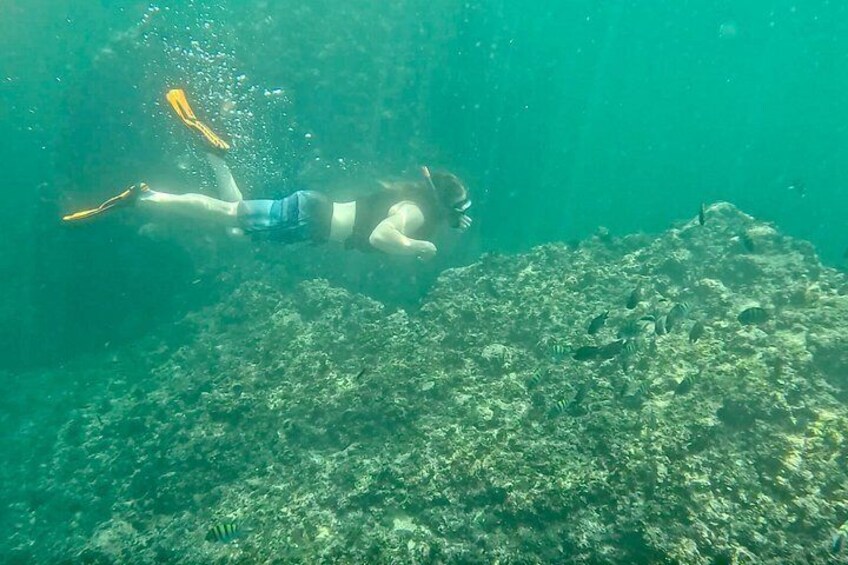 A person snorkeling underwater. 3
