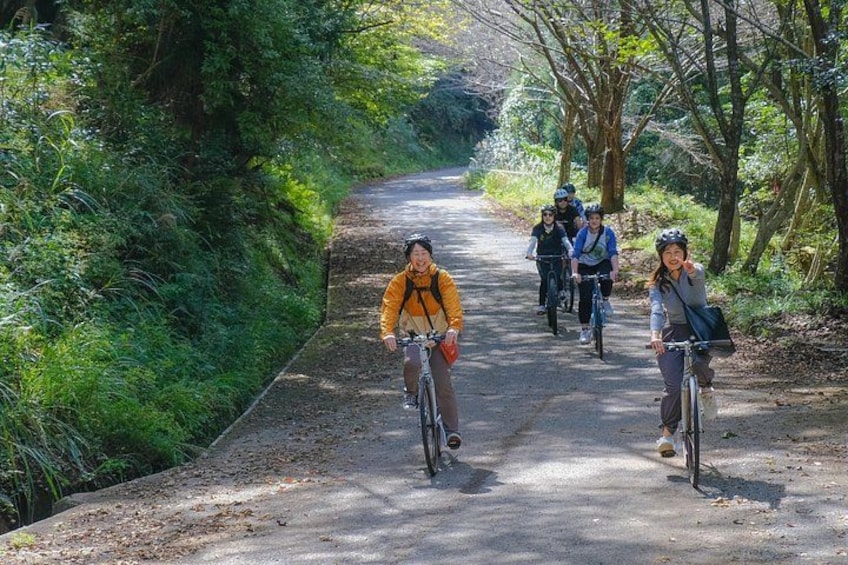 A group of cyclists on a paved path surrounded by greenery. 3