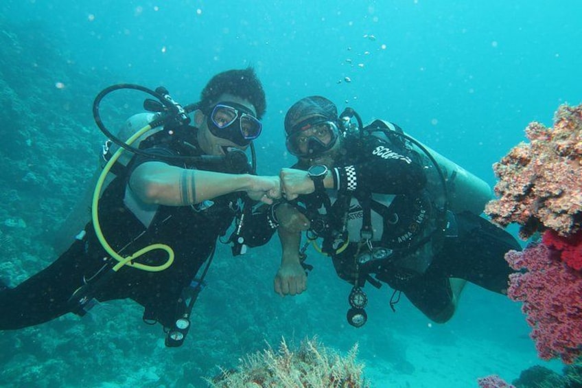 Scuba Diving , Snorkeling , and Swimming in Jeddah 2