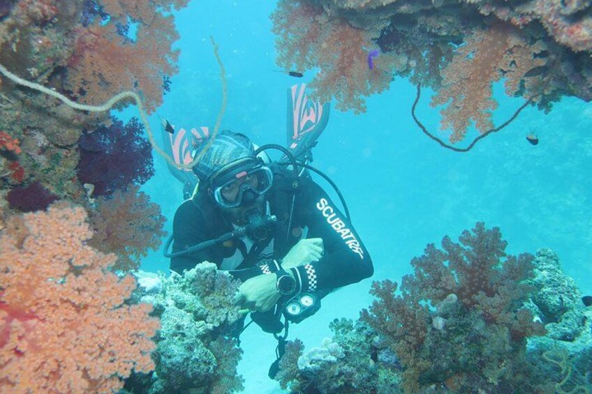 Scuba Diving , Snorkeling , and Swimming in Jeddah 3