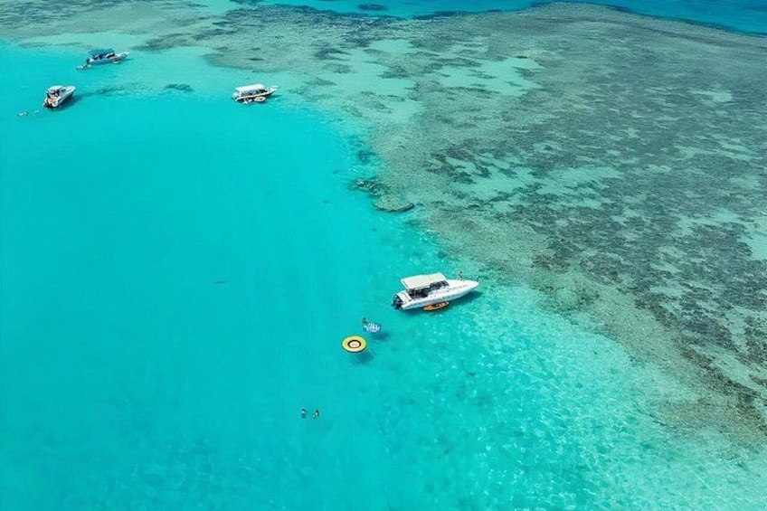 Scuba Diving , Snorkeling , and Swimming in Jeddah 3