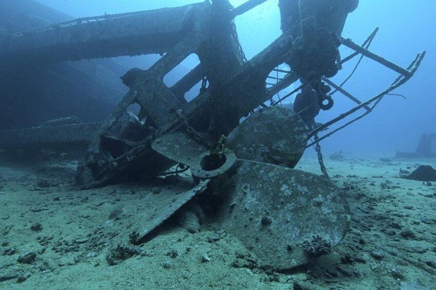 Scuba Diving , Snorkeling , and Swimming in Jeddah 5