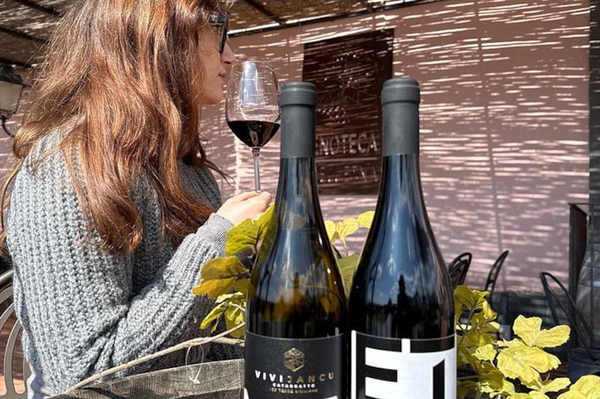 Mount Etna tour with Sicilian tasting 5