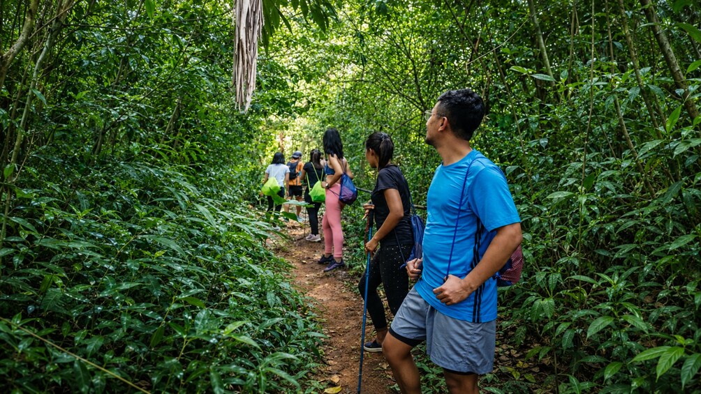 Phuket Sunrise Hike to Hidden Viewpoints with Picnic Breakfast & Transfer 5
