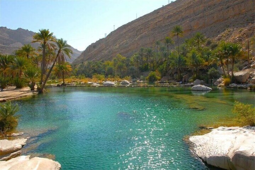 Ein leuchtend türkisfarbener Fluss, umgeben von Palmen und felsigem Gelände. 5