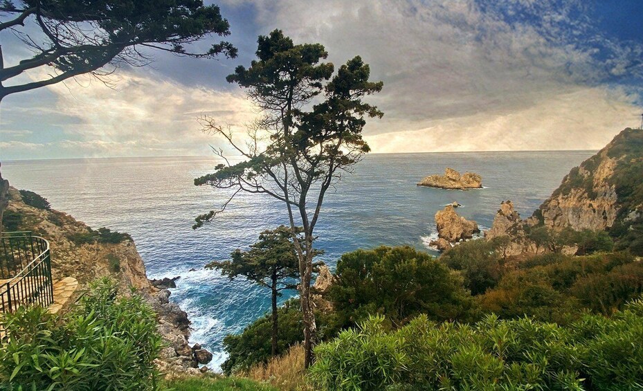 A coastal landscape with a prominent pine tree, rocky cliffs, and a small island in the distance. 5