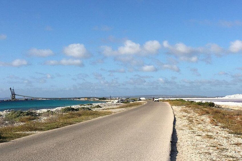 Guided Bonaire North and South Tour 1