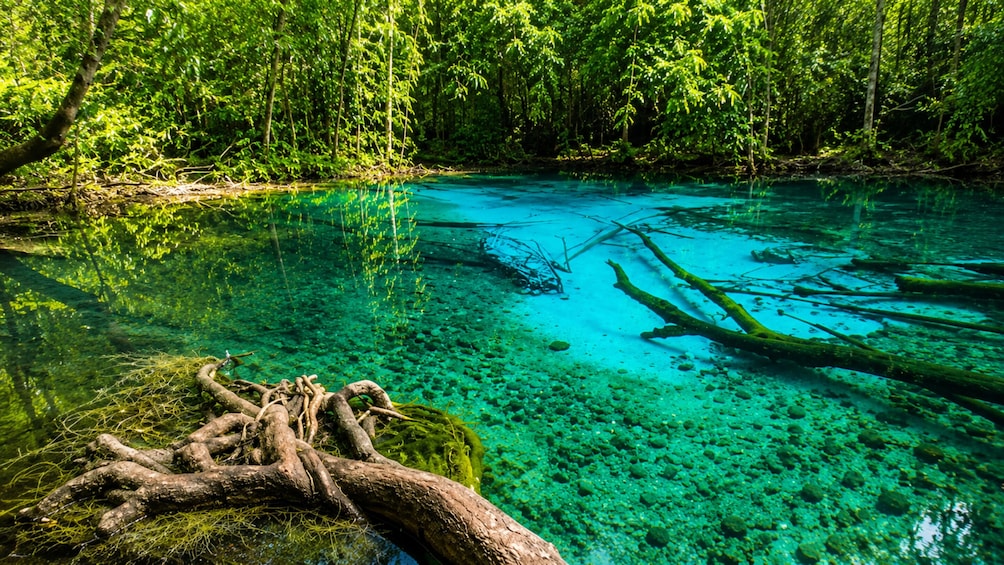 Discover Krabi: Relaxing Hot Springs & Emerald Pool Swim 5