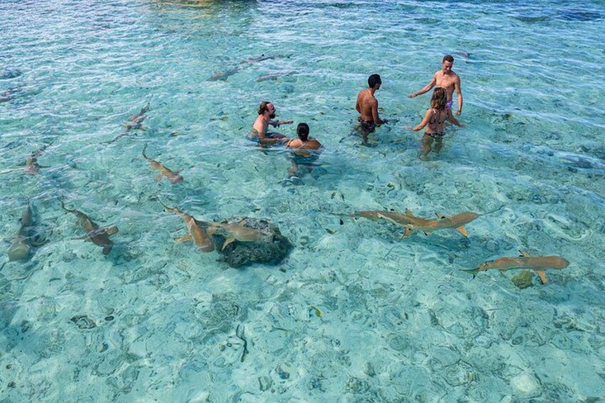 Full Day Bora Experience - Snorkeling Excursion & 4x4 Adventure 3