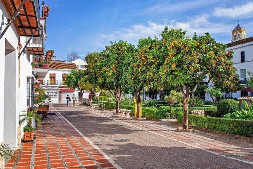 Plaza de los Naranjos Marbella 3