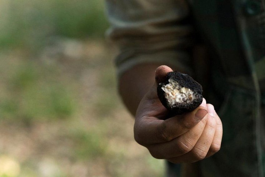 A person holding a half-eaten dark-colored food item. 2