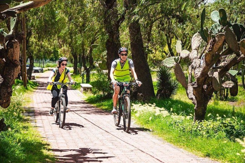 Two cyclists on a paved path surrounded by greenery and cacti. 1