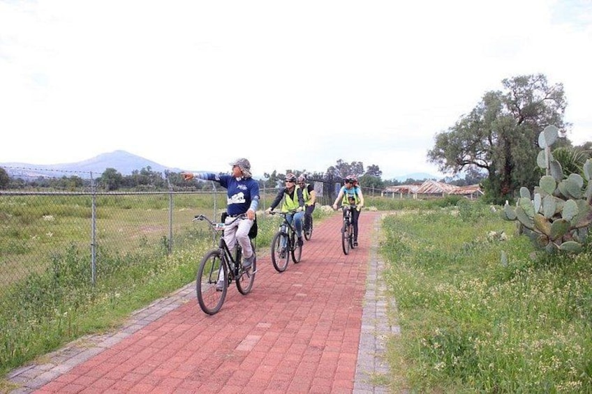 A group of cyclists on a paved path with a cactus and greenery in the background. 3