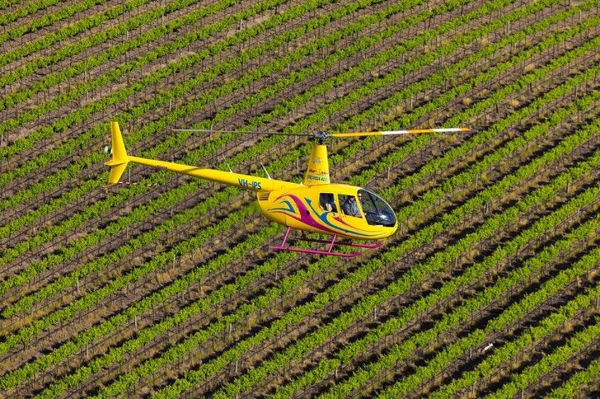 Private 4-Minute Flight Over Picturesque Hoffnungsthal Valley 4