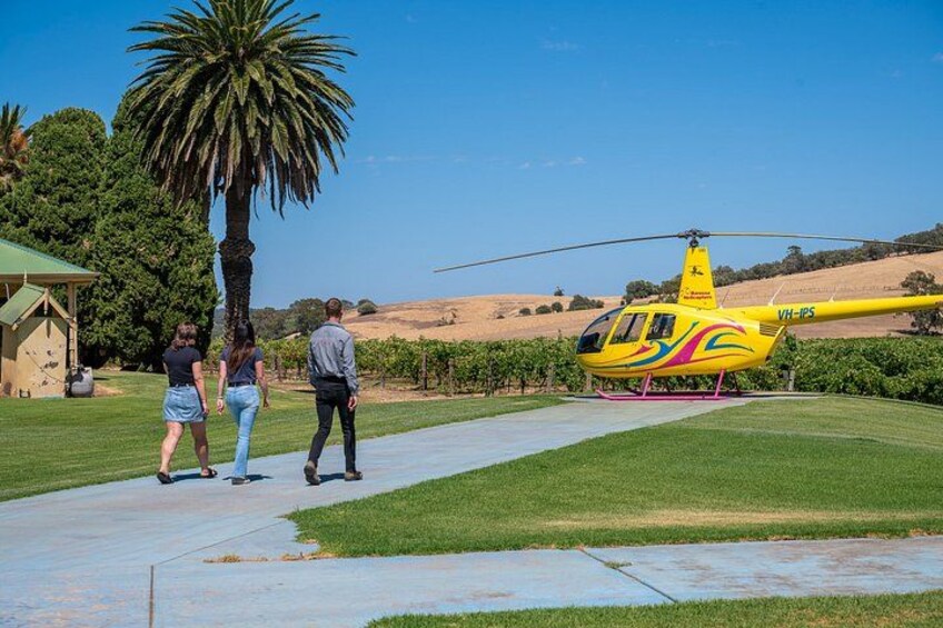 Private 4-Minute Flight Over Picturesque Hoffnungsthal Valley 2