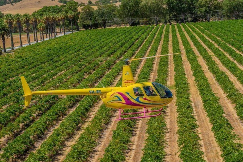 4-Minute Flight Over Picturesque Hoffnungsthal Valley 1