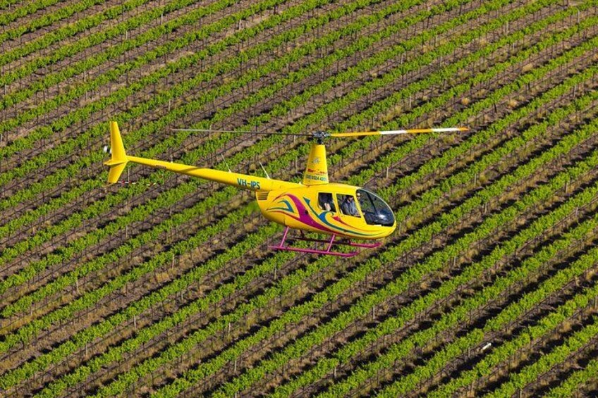 Private 4-Minute Flight Over Picturesque Hoffnungsthal Valley 2