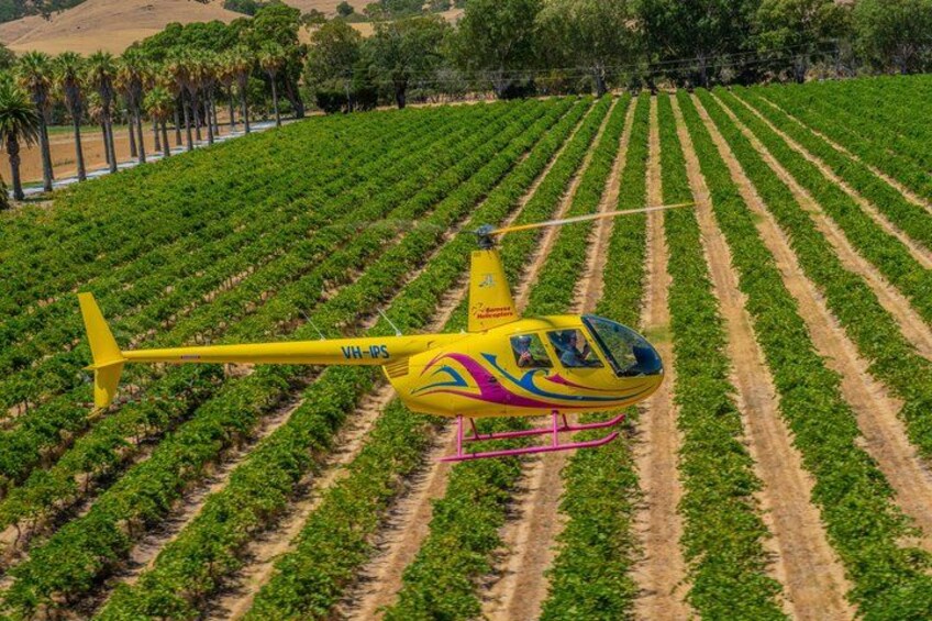 Private 4-Minute Flight Over Picturesque Hoffnungsthal Valley 1