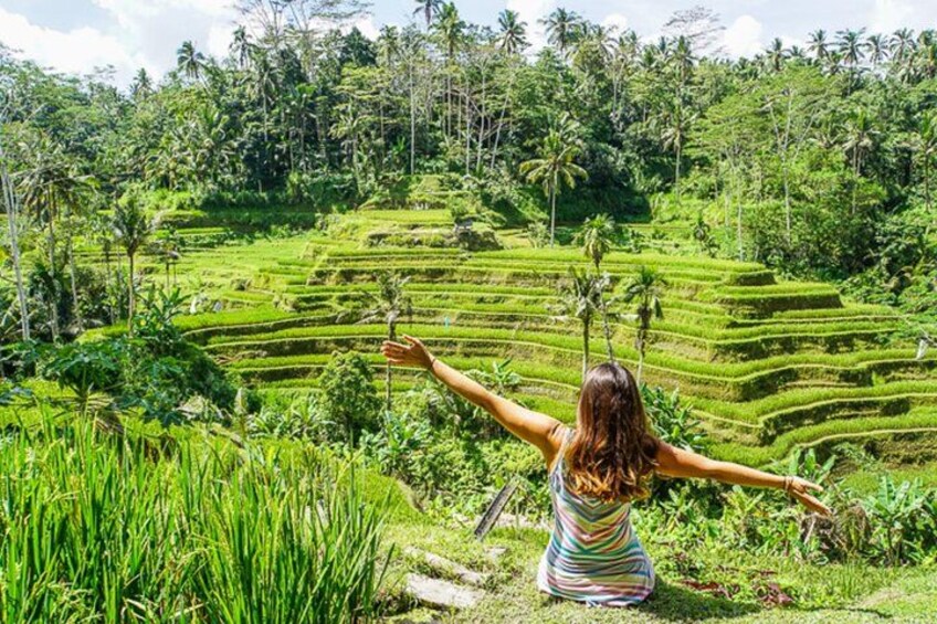 All Inclusive Ubud Private Day Tour 2