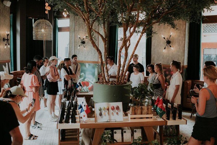 A unique experience in Panama that captures all the senses. Enjoy Geisha coffee at its finest, surrounded by an exclusive and flavorful atmosphere. #GeishaExperience #Author's Coffee 1