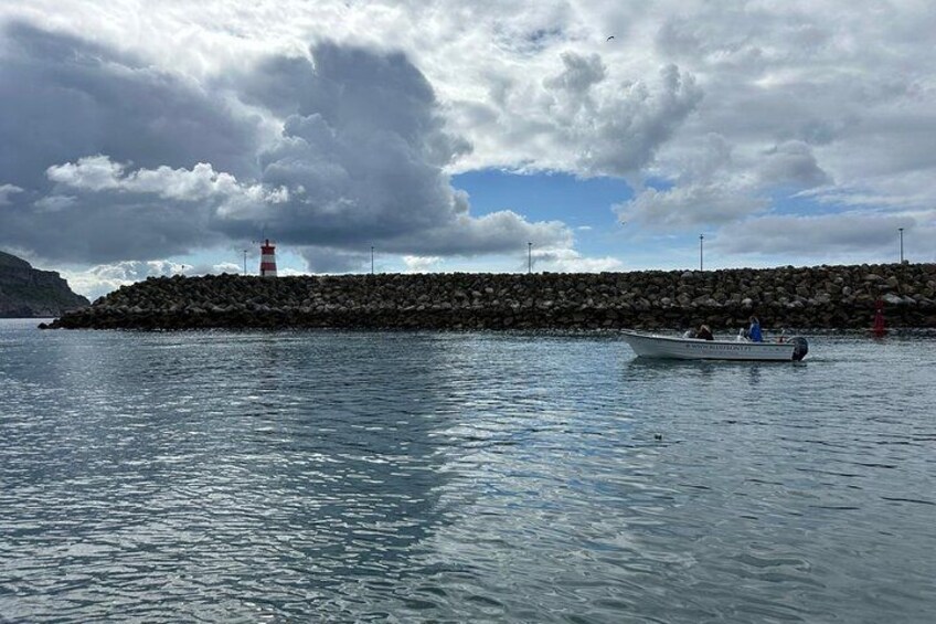Sesimbra Observation of Dolphins with Local Marine Biologist 2