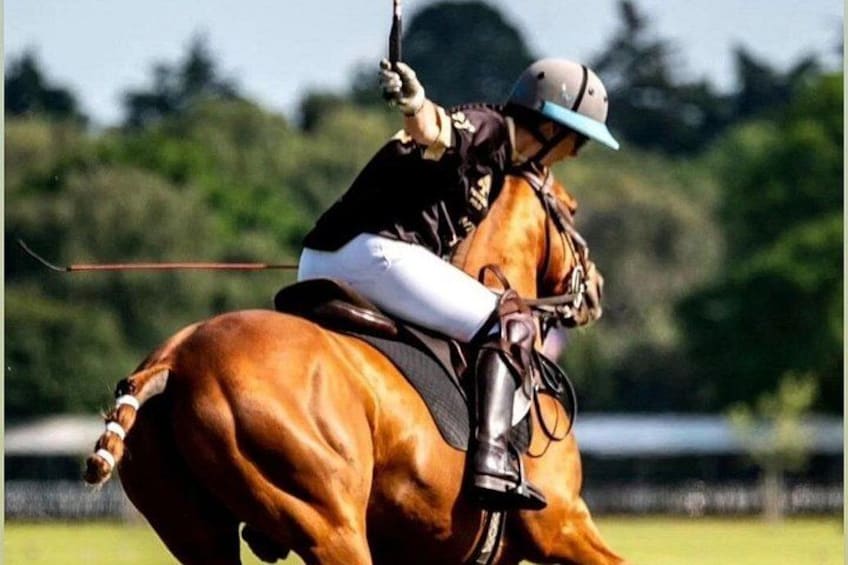 A person riding a horse, holding a stick, in an outdoor setting with greenery in the background. 1