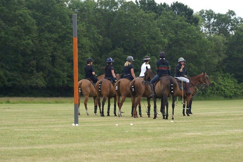 A group of people on horseback in a grassy field with trees in the background. 4
