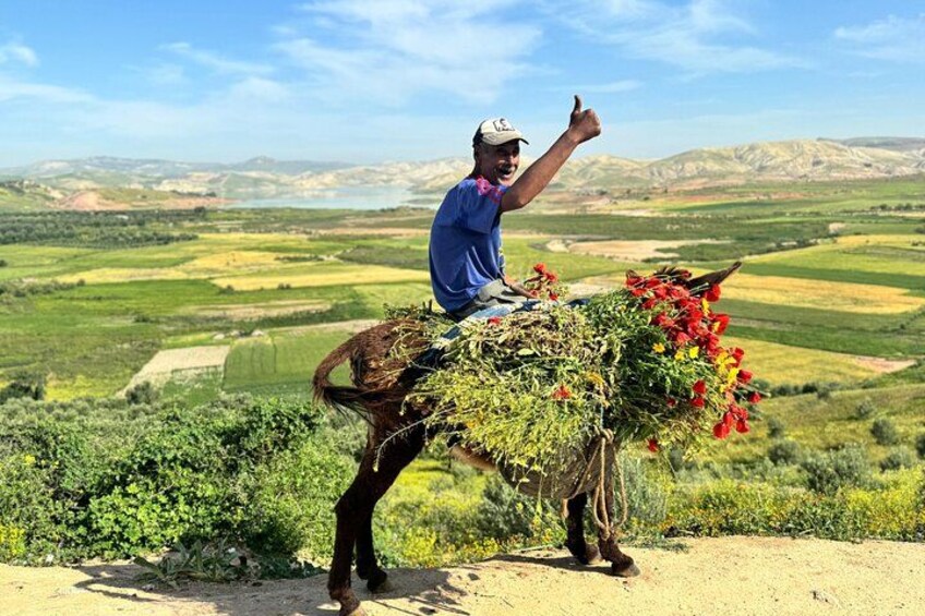 En person som rider på en åsna och bär en korg med växter och blommor, med en lantlig landskapskuliss i bakgrunden, bestående av åkrar och kullar. 3