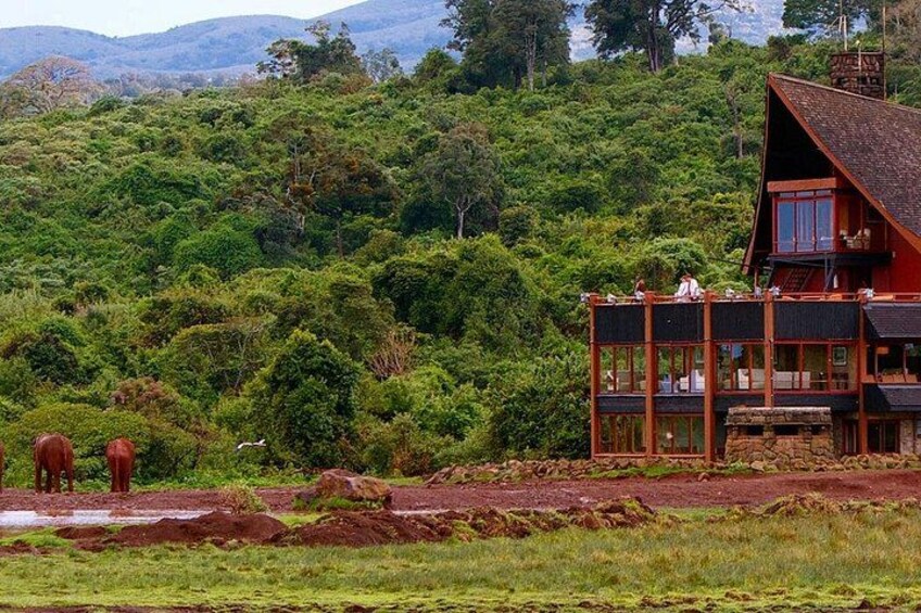 A red wooden house with a balcony overlooking a lush green forest and a river. 3