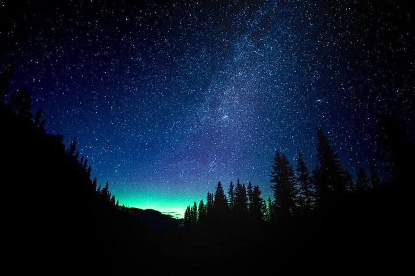 A starry night sky over a forested area with a visible Milky Way. 5