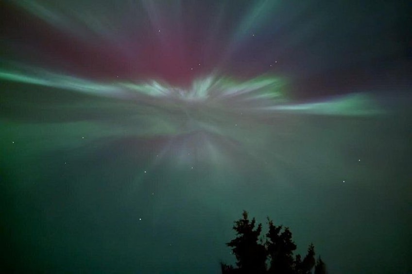 The Northern Lights over a forested area. 3