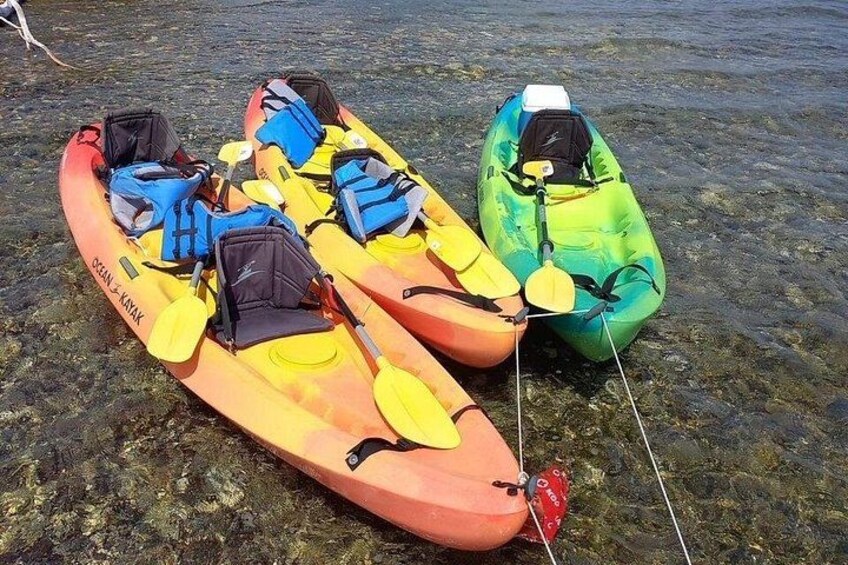 Kayaks 5