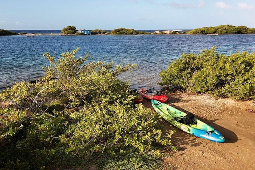 Sea Glass Island Aruba Tour 4
