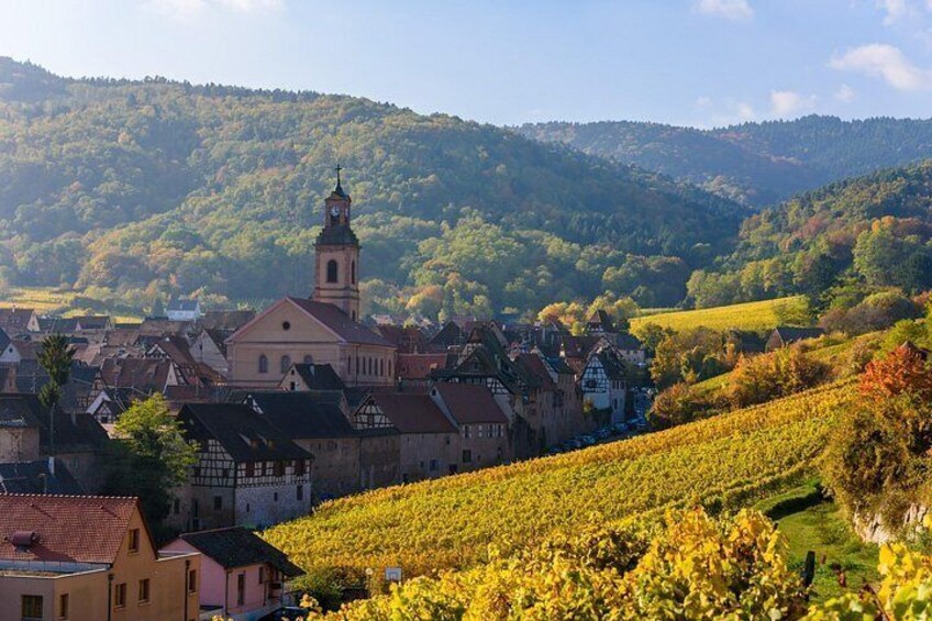 The Vine Tour from Lucerne (Private Tour) 2