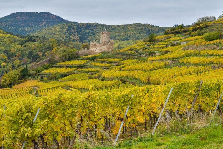 Private Alsace Wine Tasting & Basel Day Tour from Lucerne 4