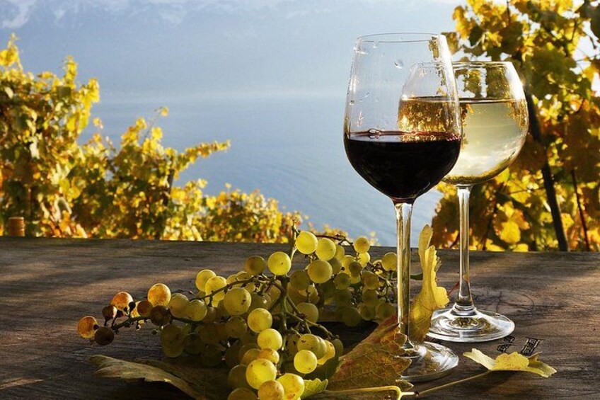 Private Wine Tasting 1
