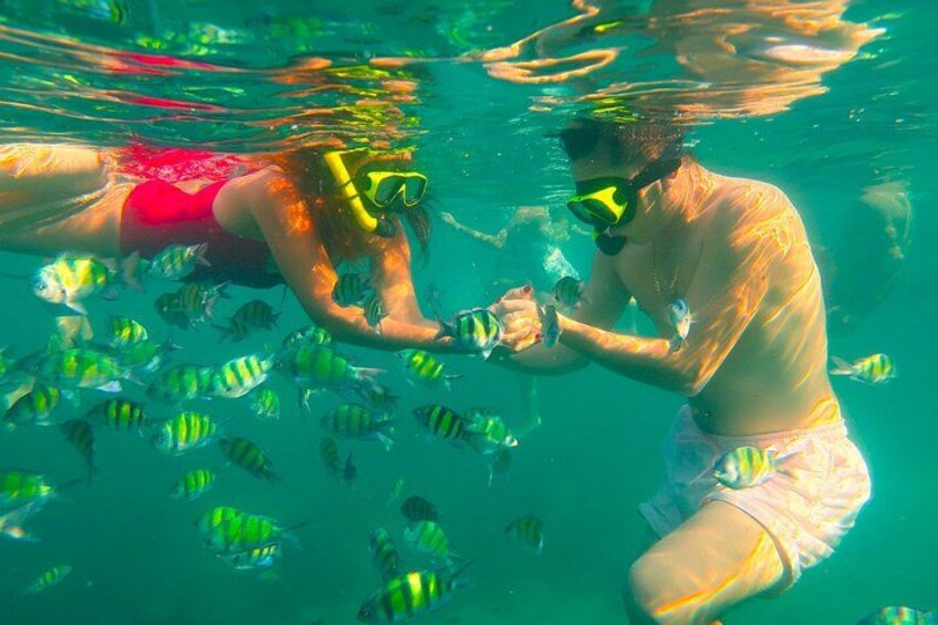 Two people snorkeling underwater with fish. 3