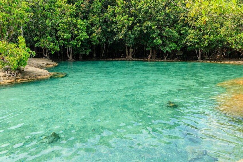 A clear turquoise sea with visible rocks and a dense forest in the background. 5