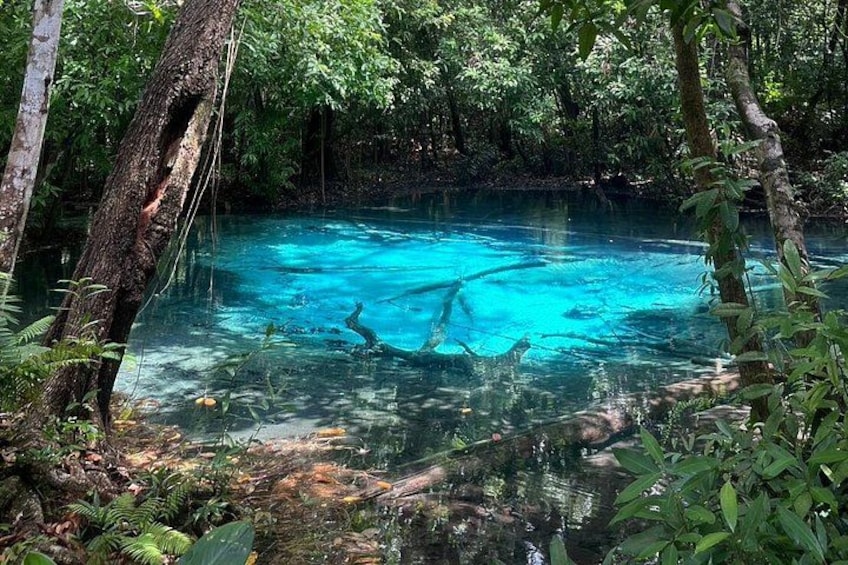A clear blue water body surrounded by dense forest. 2