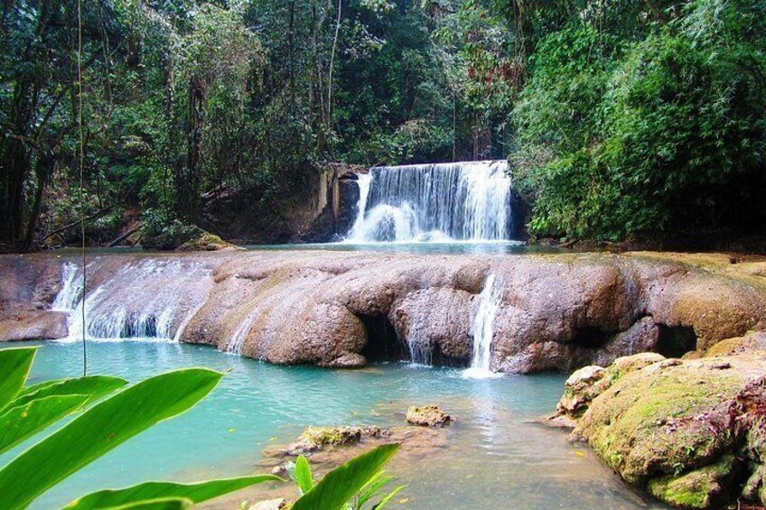 Una cascada fluye sobre rocas hacia una piscina cristalina rodeada de abundante vegetación. 1