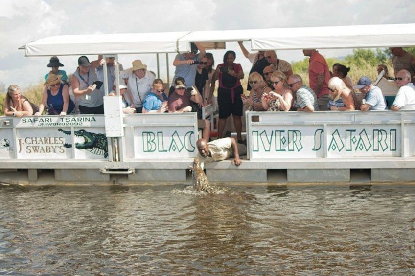 A boat with people on board, labeled 'Black River Safari.' 5