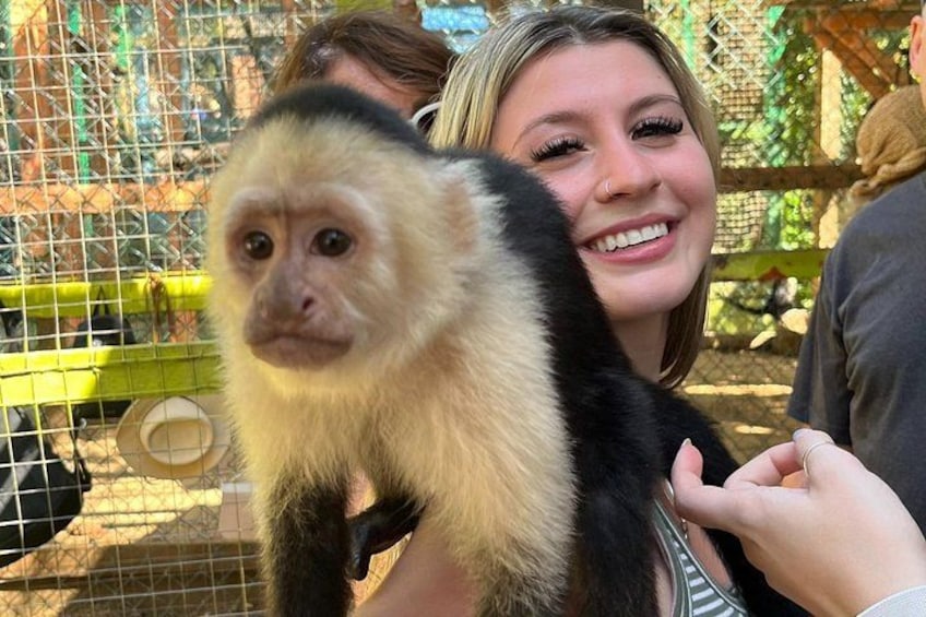 A person holding a monkey with a yellow and black fur pattern. 1